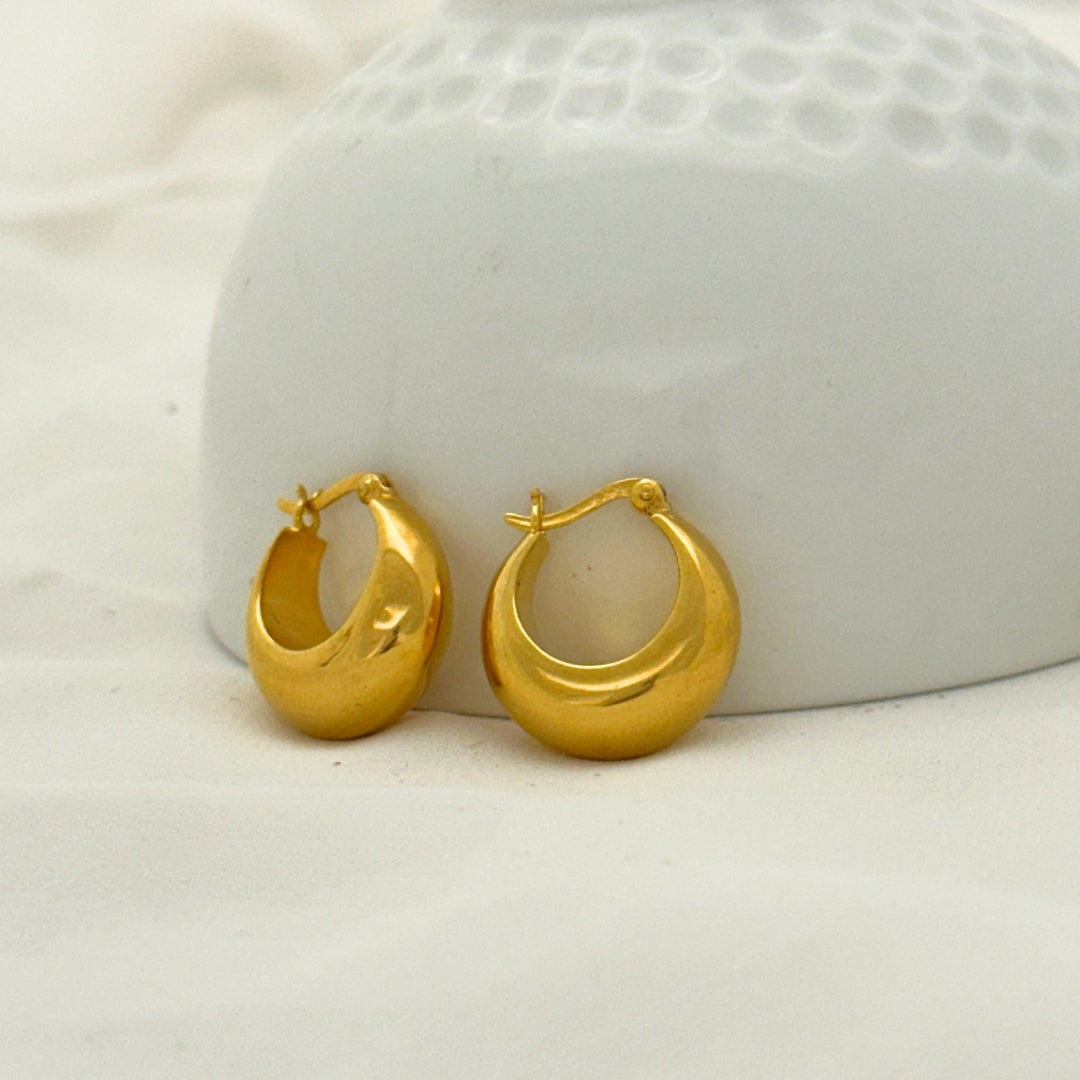 Gael Gold Plated Silver 925 Earrings