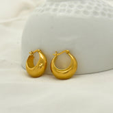 Gael Gold Plated Silver 925 Earrings