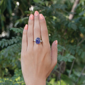 Enchanting Tanzanite and Diamond Silver 925 Ring